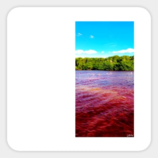 celestun ria wetland ecopark ecopop landscape photo in yucatan flamingo kawaii Sticker